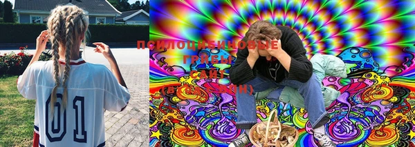 MDMA Premium VHQ Аркадак